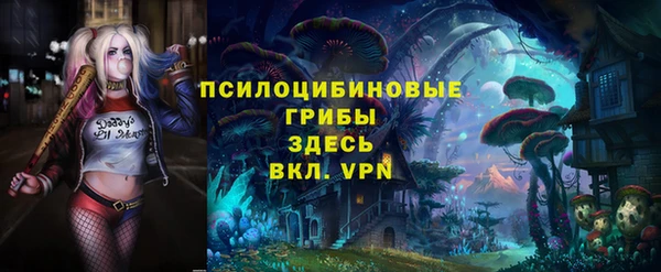 герыч Алексин