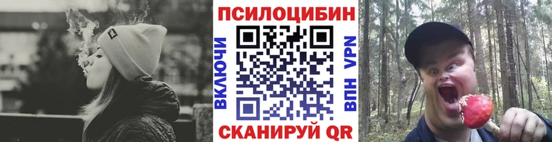 kraken зеркало  Похвистнево  Псилоцибиновые грибы мицелий 